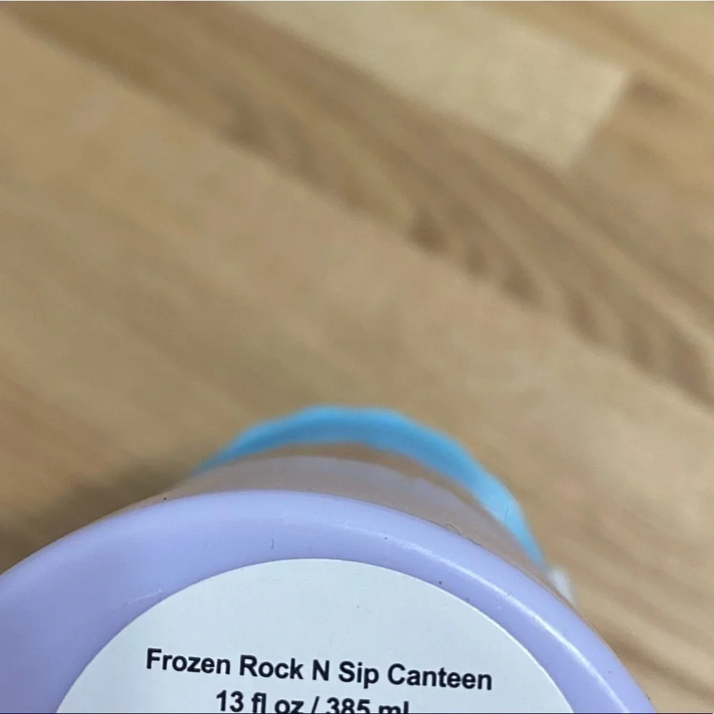 Frozen Rock & Sip Canteen 13 oz Water Bottle Reusable Adjustable Strap Disney